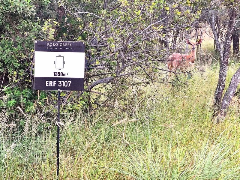 A vacant residential stand measuring 1350 square meters located within the Koro Creek Bushveld Golf Estate, featuring natural bushveld vegetation.