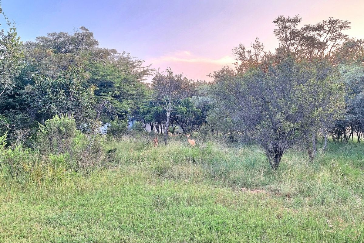 A view of a natural, undeveloped residential plot featuring established trees and native vegetation in a peaceful setting.