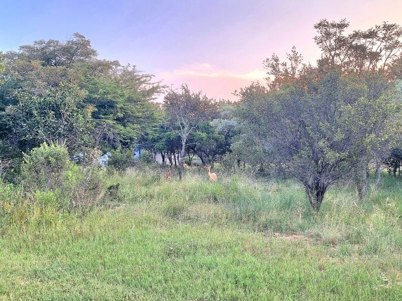 A view of a natural, undeveloped residential plot featuring established trees and native vegetation in a peaceful setting.