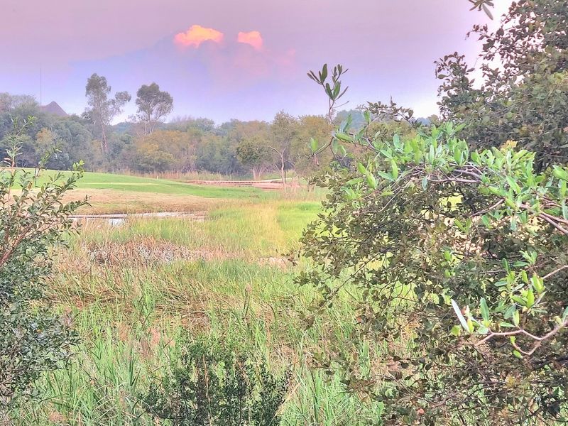 A scenic view of a natural landscape featuring lush greenery, wetland vegetation, and open space, capturing the tranquil surroundings of the vacant land.