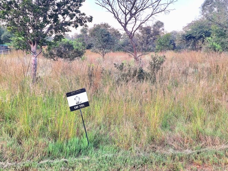 A vacant residential plot featuring natural vegetation and mature trees, ready for development.