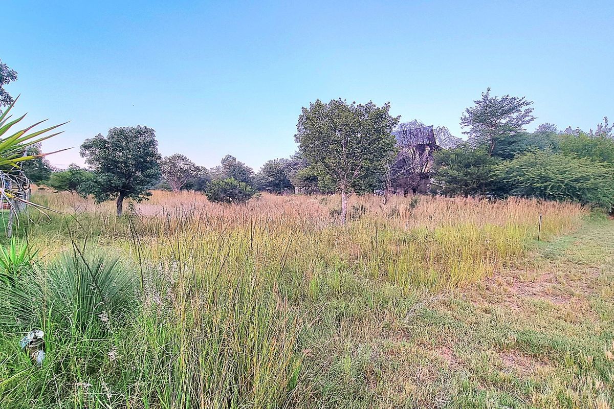 A view of a vacant residential plot featuring natural grass, established trees, and a paved street verge.