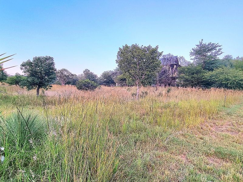 A view of a vacant residential plot featuring natural grass, established trees, and a paved street verge.
