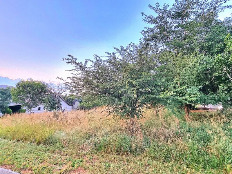 A view of a vacant residential plot featuring established trees and natural grassland, with neighboring properties visible in the background.