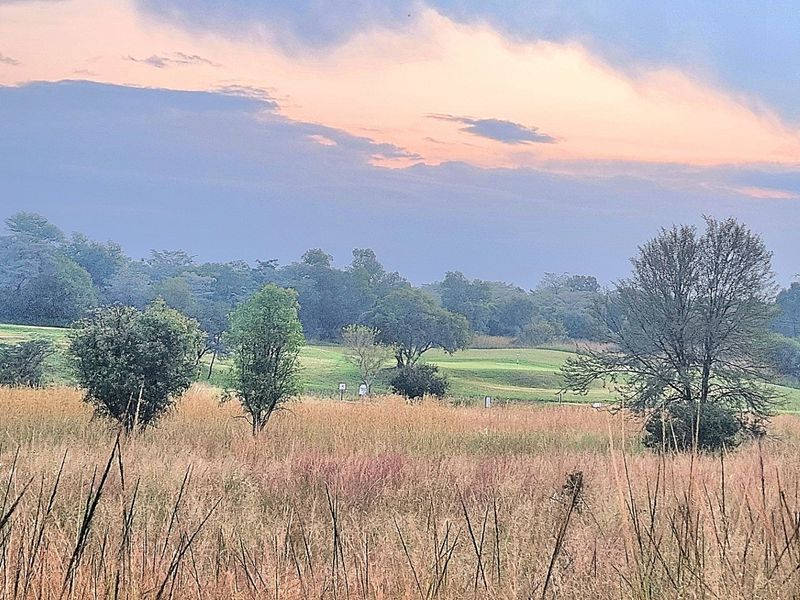 A scenic view of the vacant residential land featuring natural grass, mature trees, and a sunset sky.