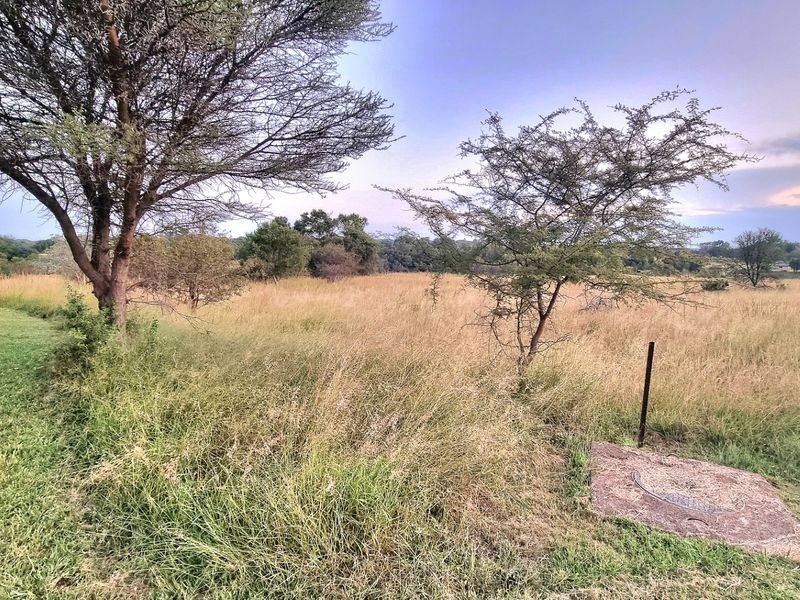 A view of a vacant residential plot featuring natural grassland, mature trees, and a utility access point.