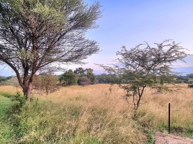 A view of a vacant residential plot featuring natural grassland, mature trees, and a paved border.