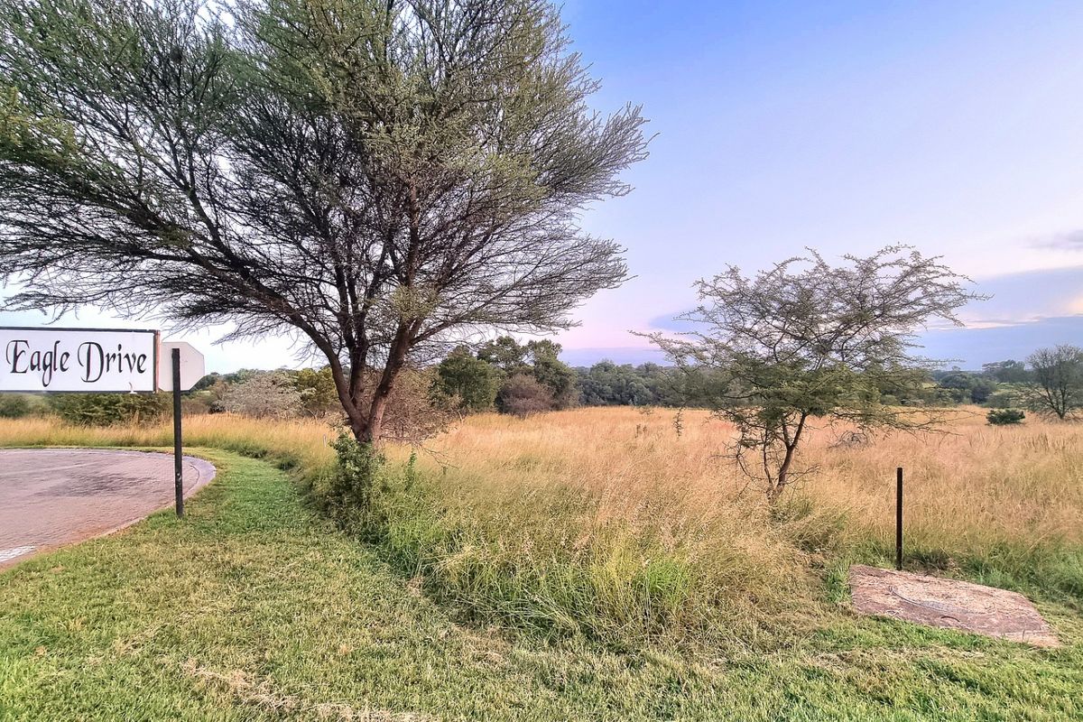 A view of a vacant residential plot located on Fish Eagle Drive, featuring natural grassland and mature trees.
