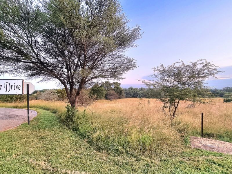 A view of a vacant residential plot located on Fish Eagle Drive, featuring natural grassland and mature trees.