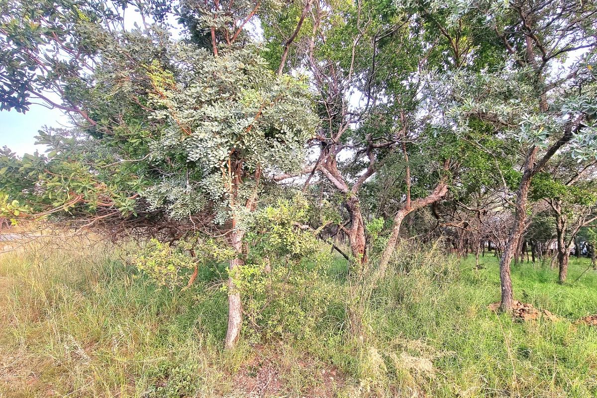 A view of the vacant residential land featuring established trees and natural vegetation, offering a private and serene setting for future development.