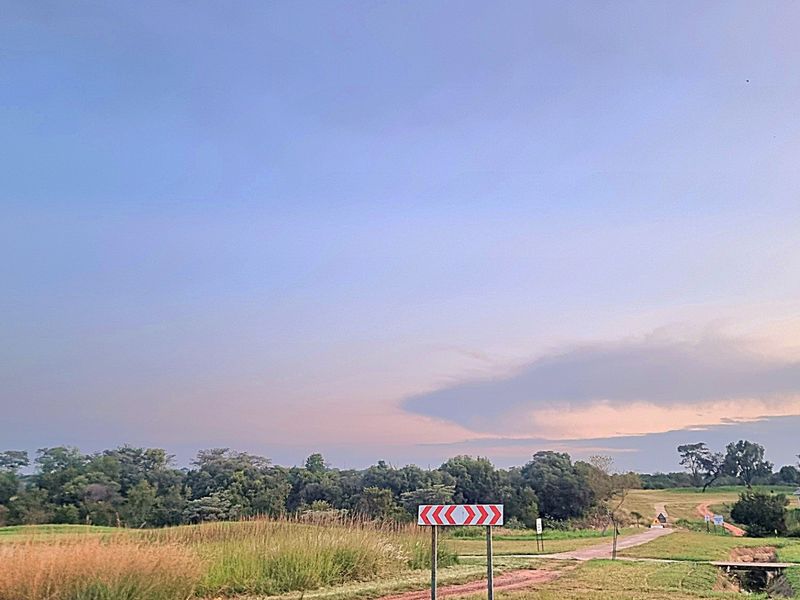 A scenic view of an expansive, undeveloped residential plot featuring natural vegetation and a dirt access road under a clear sky.