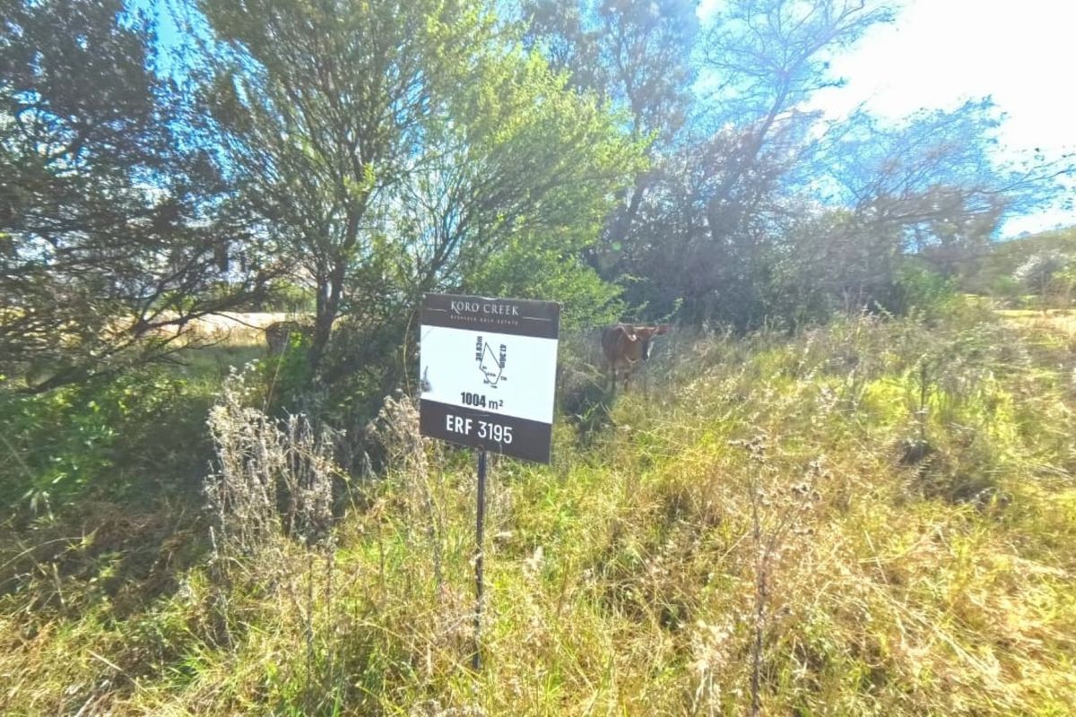 A vacant residential plot of 1004 square meters located in Koro Creek, featuring natural vegetation and established trees.