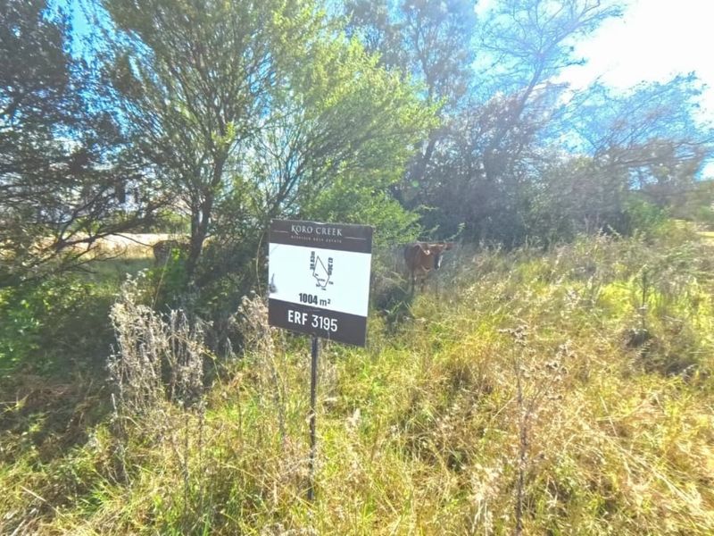 A vacant residential plot of 1004 square meters located in Koro Creek, featuring natural vegetation and established trees.