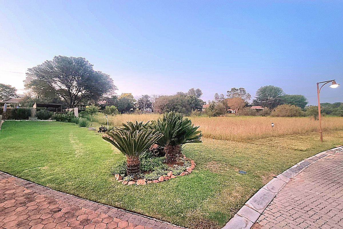 A well-maintained residential garden featuring a manicured lawn, mature cycad plants with stone edging, and a paved driveway approach.