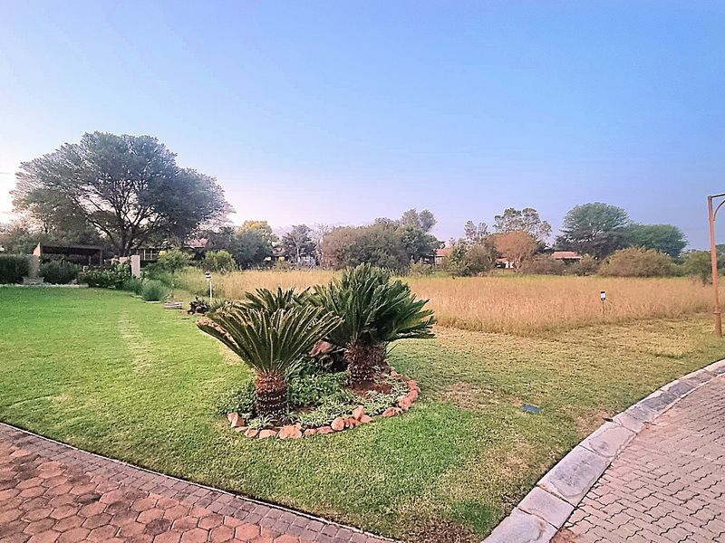 A well-maintained residential garden featuring a manicured lawn, mature cycad plants with stone edging, and a paved driveway approach.