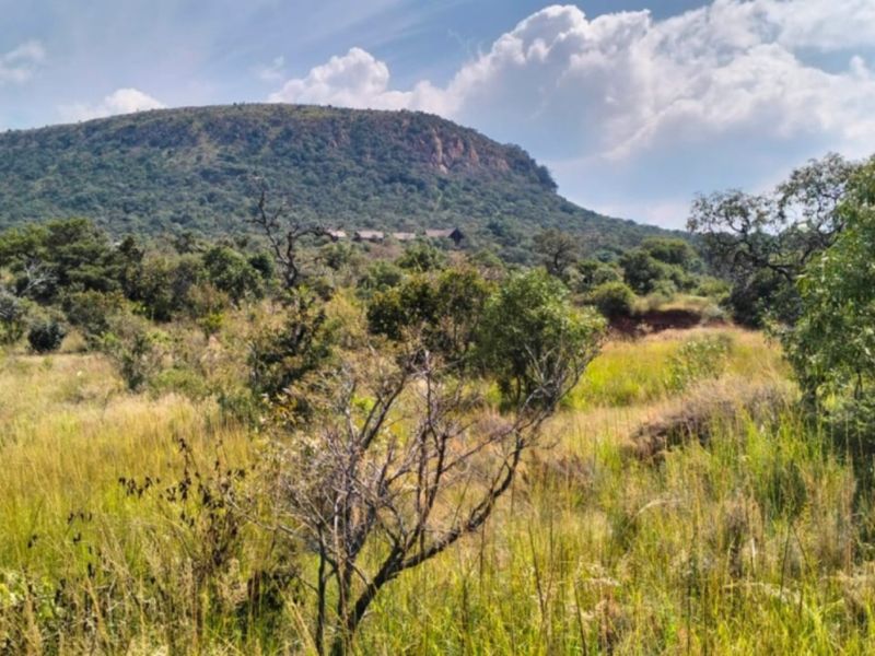 A scenic landscape view featuring natural bushveld vegetation and a prominent mountain backdrop, showcasing the property's tranquil and expansive natural surroundings.