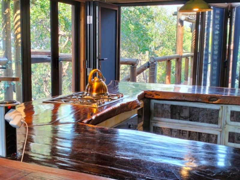 A rustic kitchen featuring a unique live-edge timber countertop, built-in gas hob, and bi-fold doors opening to a scenic outdoor deck.