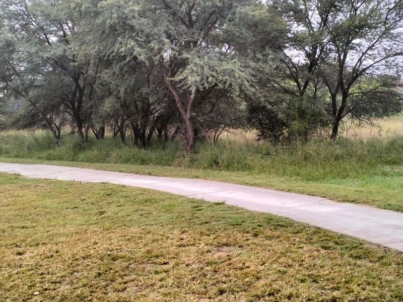 A view of a vacant residential plot featuring a paved walkway, established trees, and natural grass landscaping.