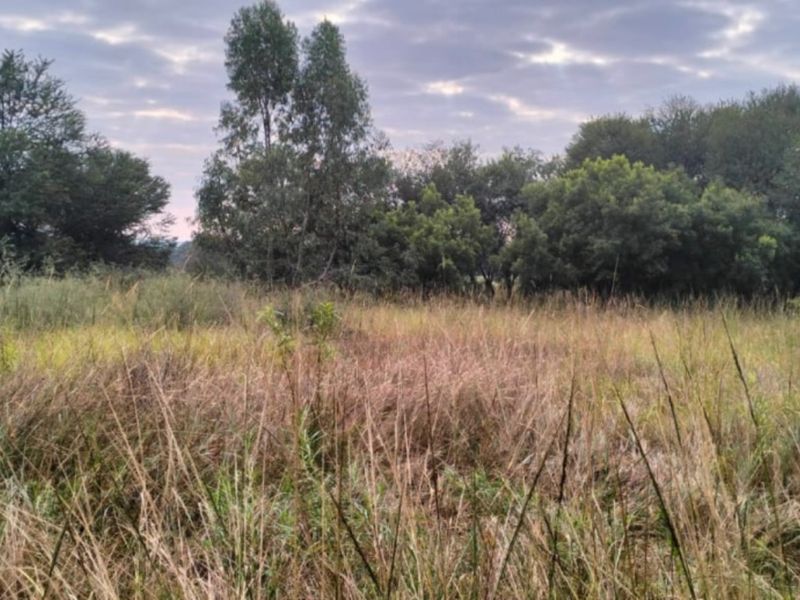 A view of a vacant residential plot featuring natural grassland and mature trees.