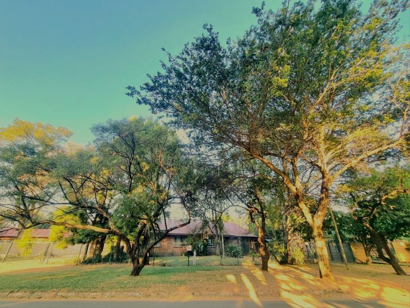 A street-level view of the property facade, partially obscured by mature trees and perimeter fencing.