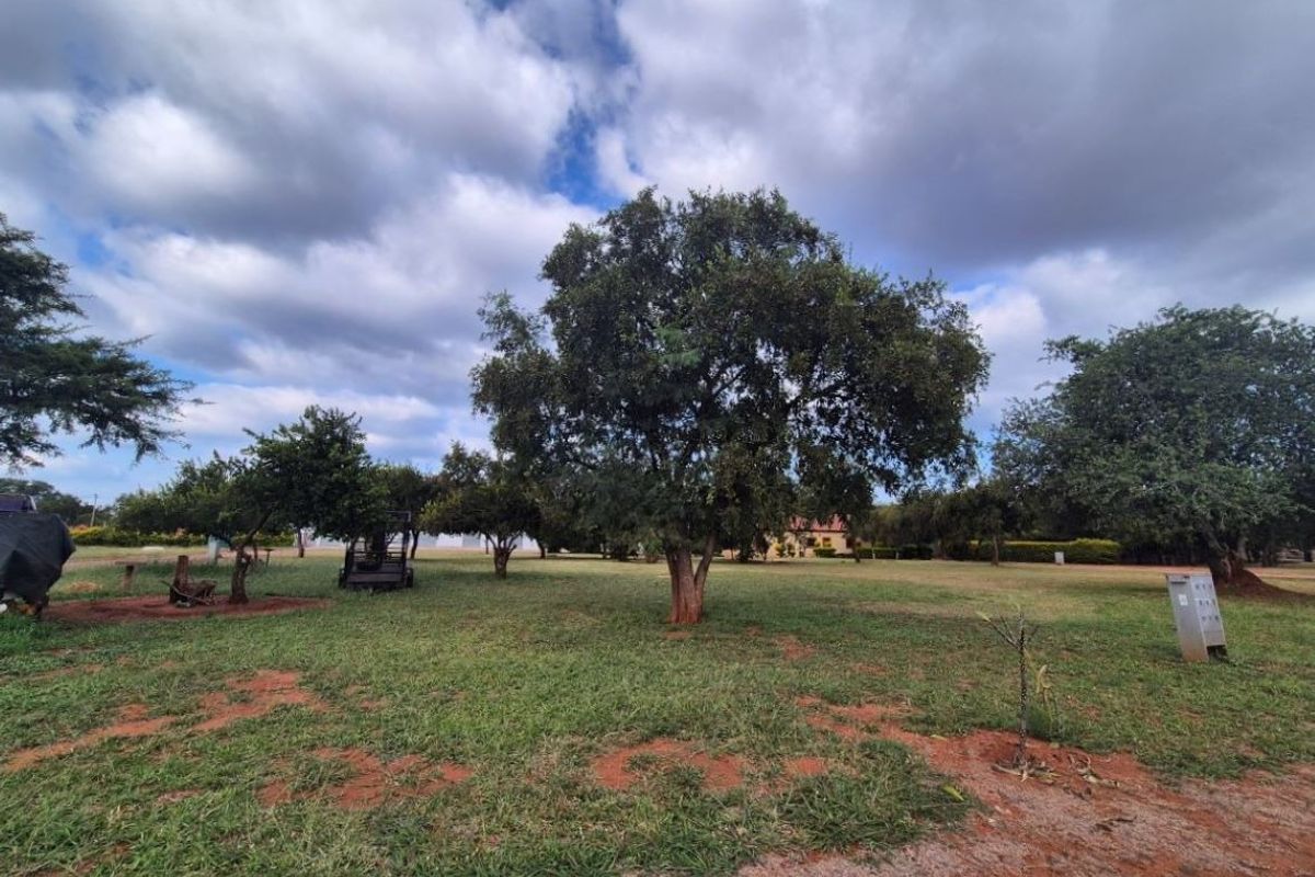 A spacious, level residential plot featuring established mature trees and open grass areas, suitable for future development.