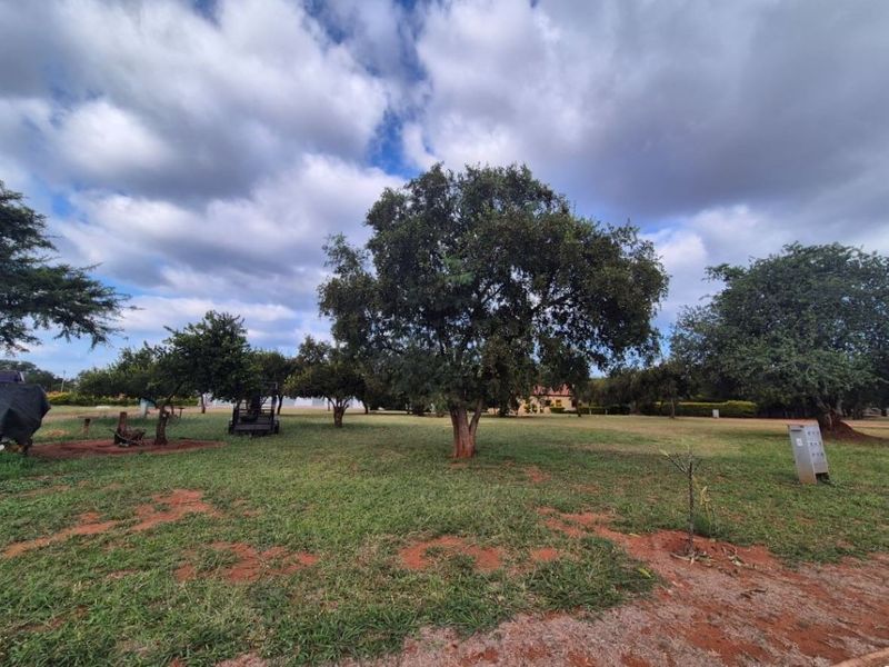 A spacious, level residential plot featuring established mature trees and open grass areas, suitable for future development.