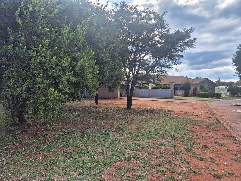 A spacious residential garden area featuring mature trees, a paved driveway, and established boundary walls on a vacant residential plot.