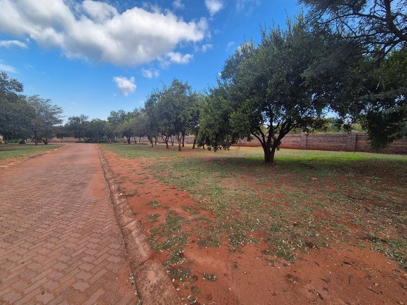 A spacious residential plot featuring a brick paved driveway, established mature trees, and a secure perimeter brick wall.