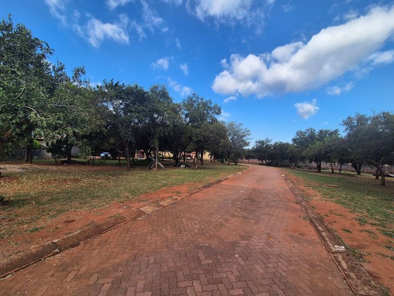 A view of a paved residential driveway leading through a well-maintained, tree-lined vacant land plot.