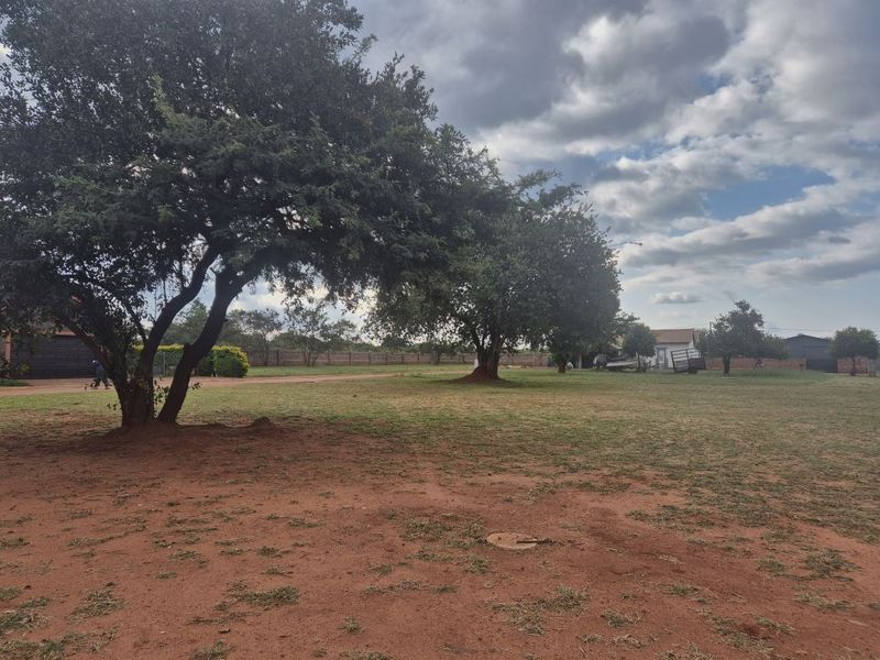 A spacious, level residential plot featuring established mature trees, a grass lawn, and perimeter walling, offering a blank canvas for development.