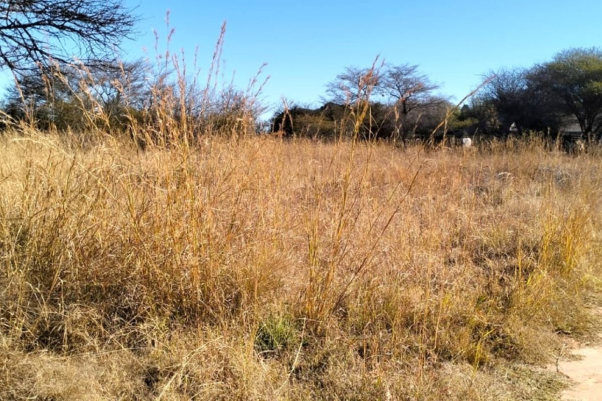 A view of a vacant residential plot featuring native dry grass and a dirt access path, suitable for future development.