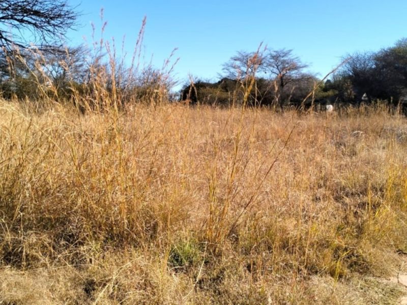 A view of a vacant residential plot featuring native dry grass and a dirt access path, suitable for future development.