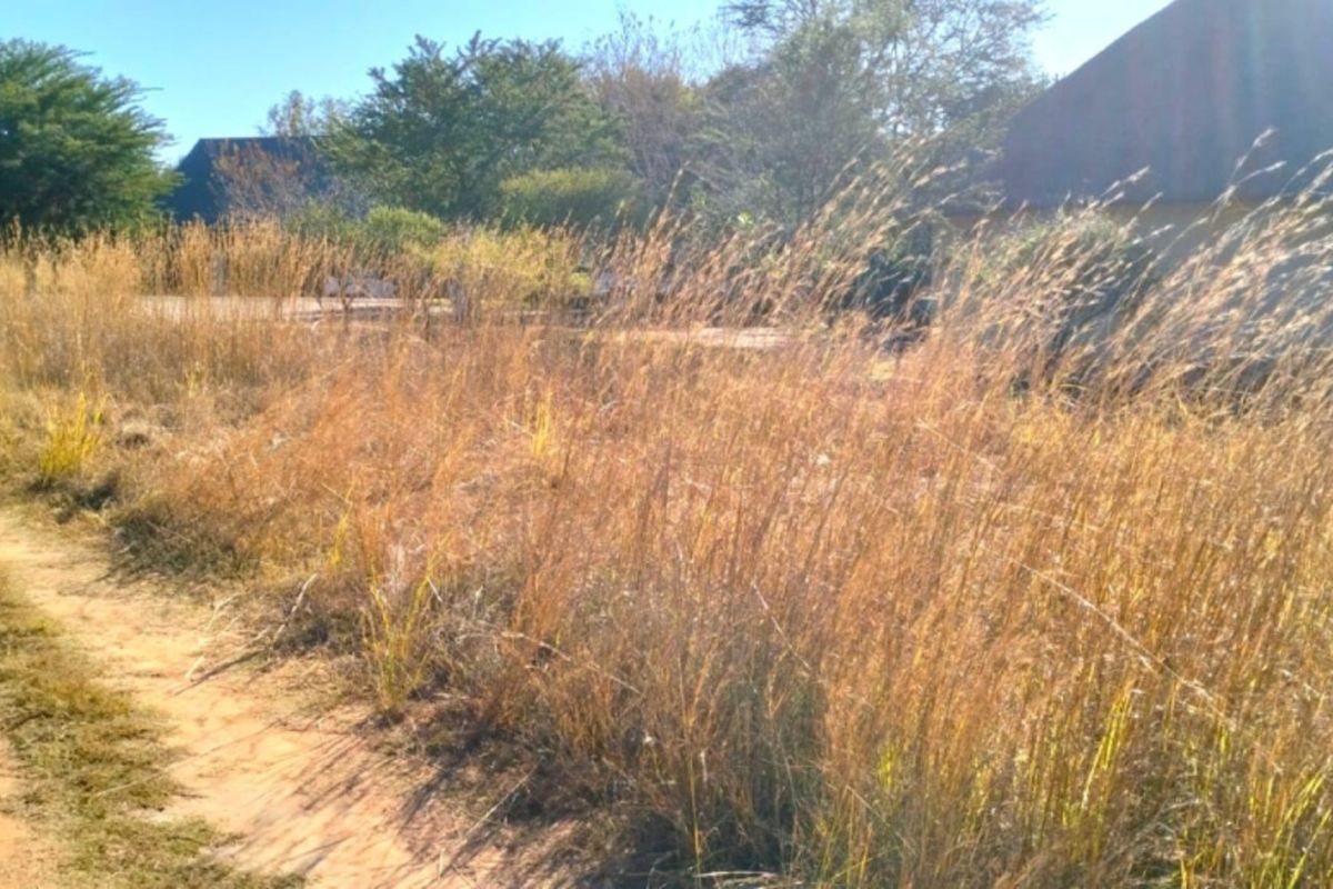 A view of a vacant residential plot featuring a dirt driveway and a glimpse of a nearby thatched roof structure.