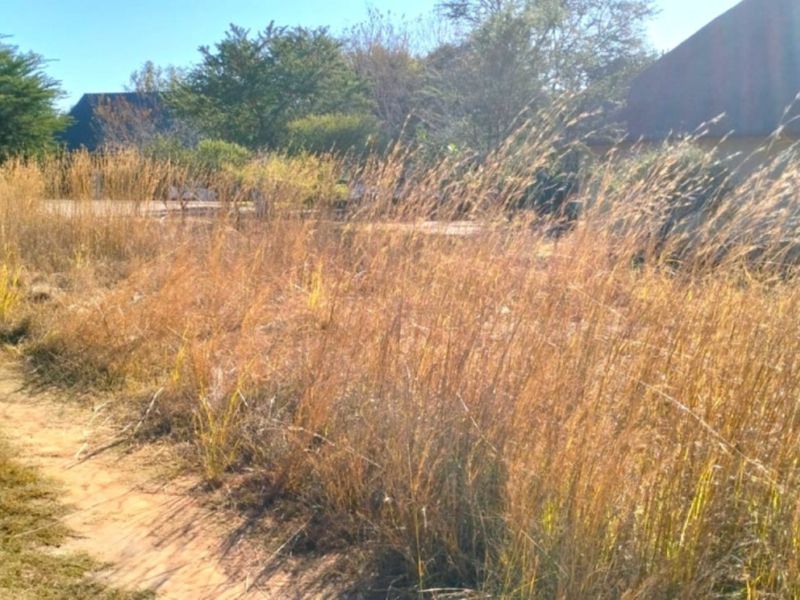 A view of a vacant residential plot featuring a dirt driveway and a glimpse of a nearby thatched roof structure.
