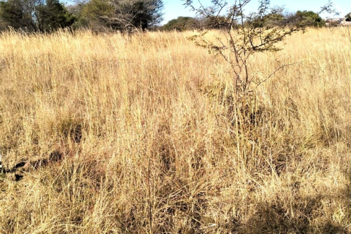 A view of the vacant residential land featuring dry grass and an existing electrical utility connection point.