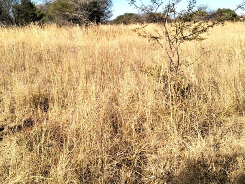 A view of the vacant residential land featuring dry grass and an existing electrical utility connection point.