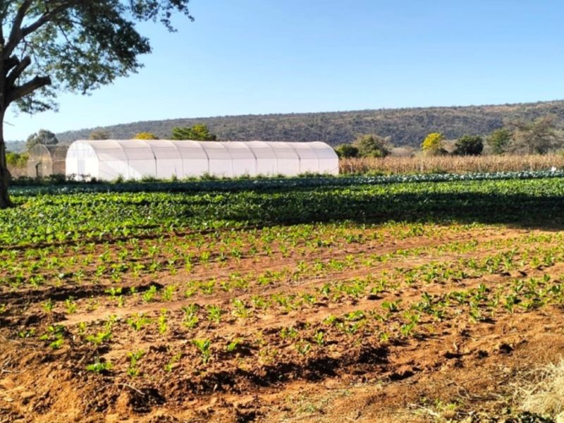 A view of a cultivated farm field featuring rows of crops and a large greenhouse structure set against a natural landscape.