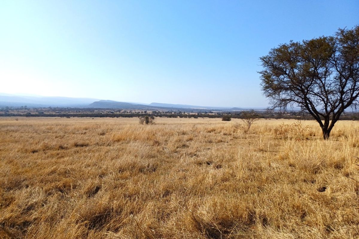 Expansive view of the farm's open grassland and natural landscape, showcasing the property's vast terrain and scenic horizon.