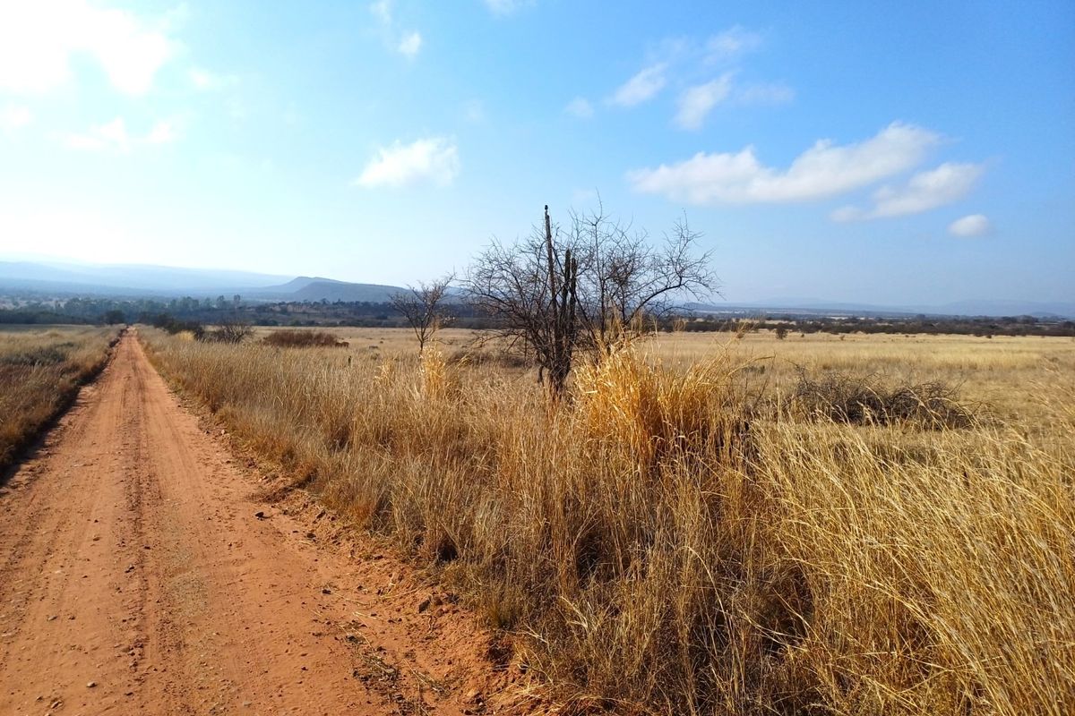 A scenic view of a rural dirt road stretching through open farm land with natural vegetation and distant hills under a clear sky.