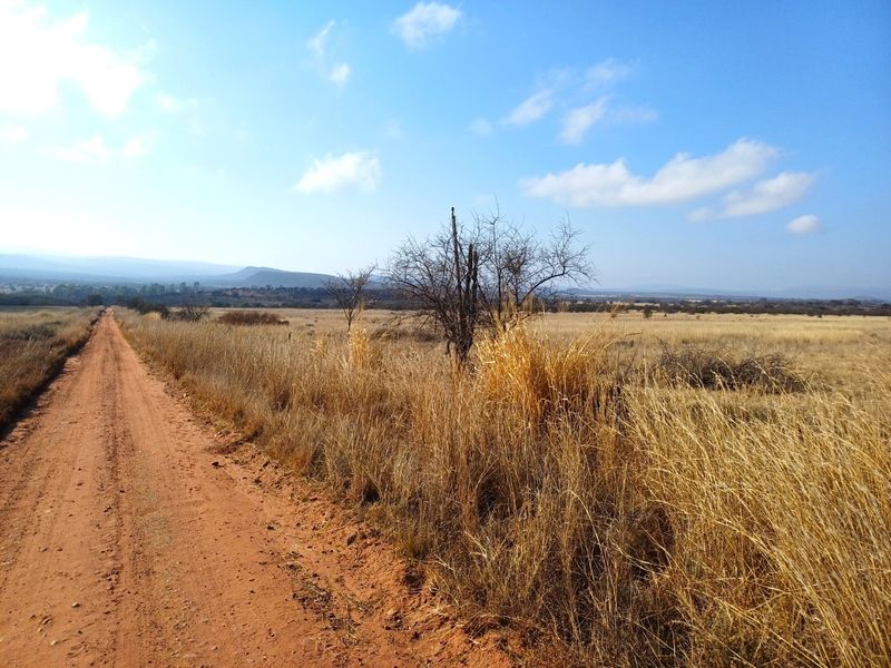 A scenic view of a rural dirt road stretching through open farm land with natural vegetation and distant hills under a clear sky.