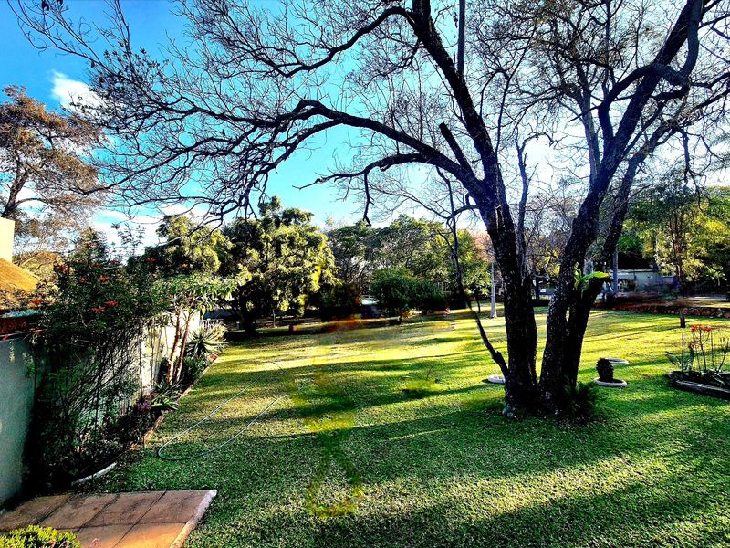 A spacious, well-maintained garden featuring mature trees and established lawn, enclosed by a boundary wall.