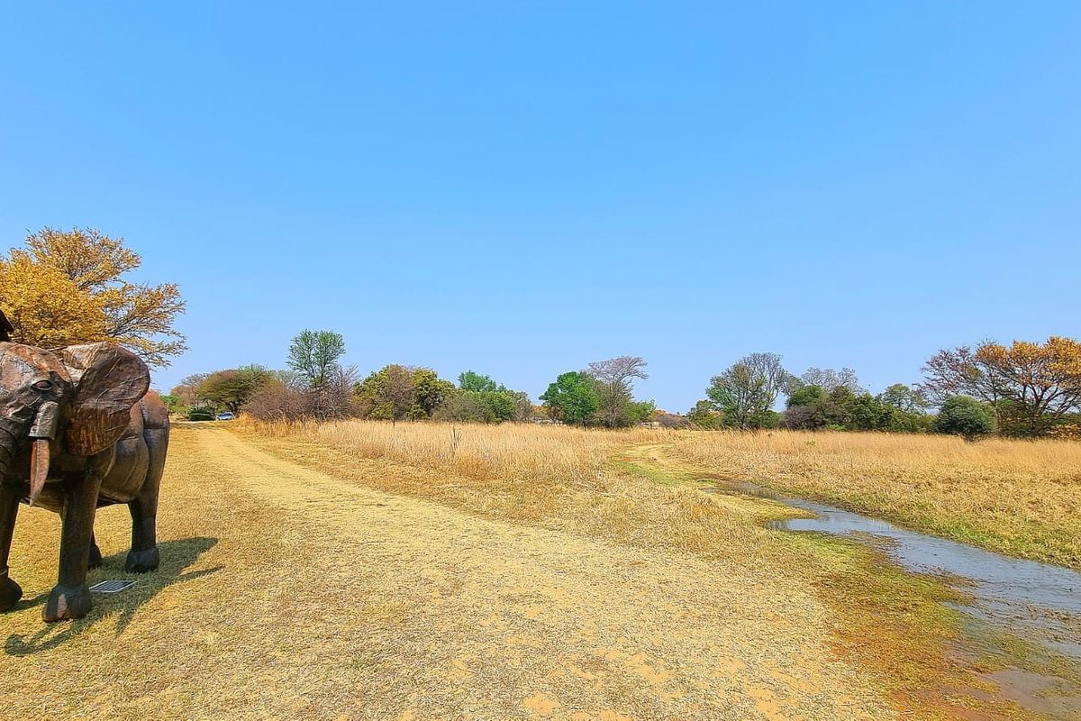 A view of the expansive vacant residential land featuring natural dry grass, indigenous trees, and a small drainage channel.