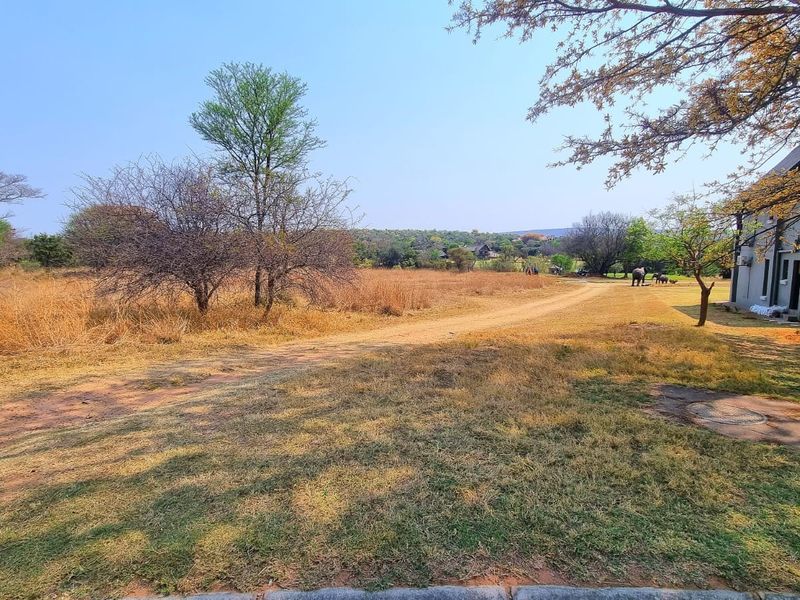 A view of the rear vacant land area featuring natural vegetation, a dirt path, and a portion of the adjacent building structure.
