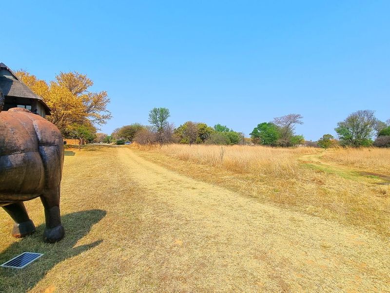 A view of a vacant residential plot featuring natural grassland and a dirt access path.