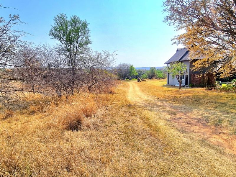 A view of a residential property featuring a dirt driveway leading towards a house surrounded by mature trees and open land.
