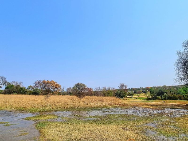 A wide view of a vacant residential plot featuring natural grassland and mature trees under a clear blue sky.