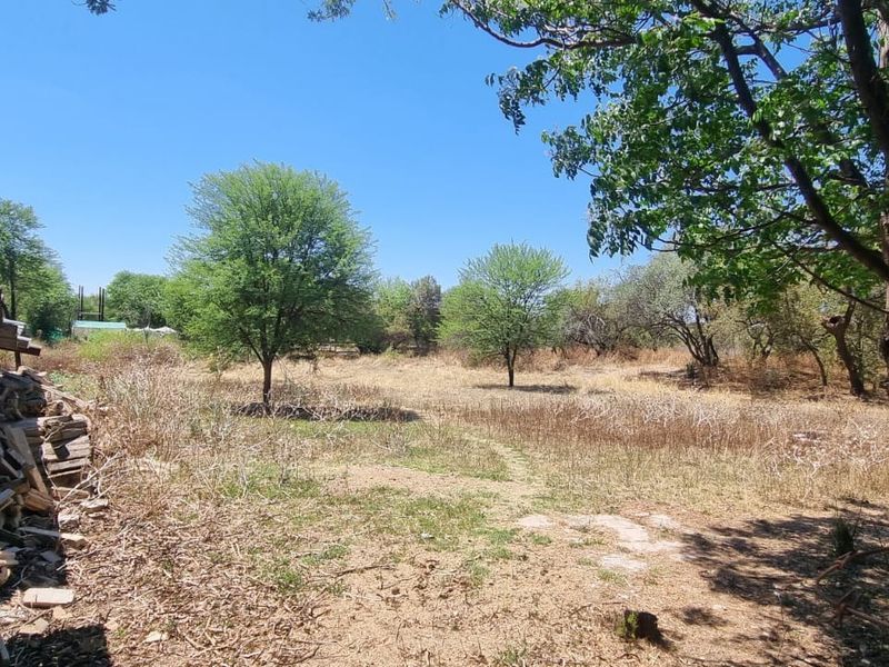 A view of the vacant residential land featuring mature trees and natural vegetation across the open plot.