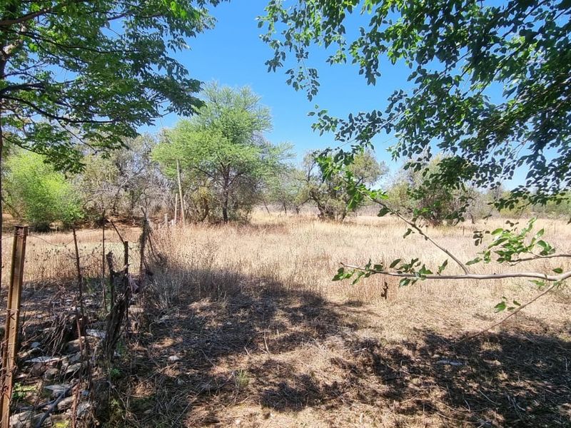 A view of a vacant residential plot featuring dry grass, mature trees, and existing wire boundary fencing.