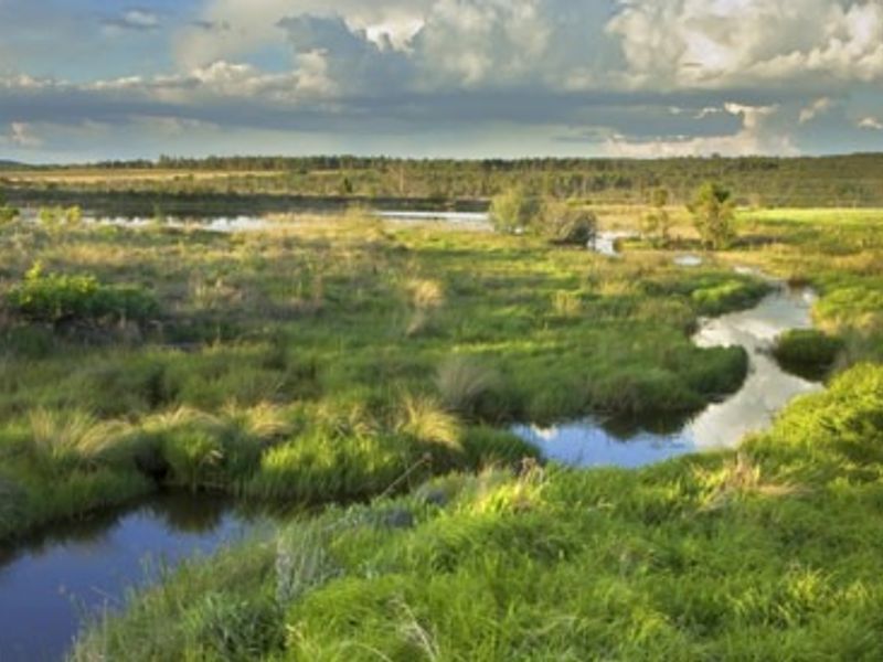 A scenic view of a natural watercourse winding through lush green wetlands and open landscape under a cloudy sky.