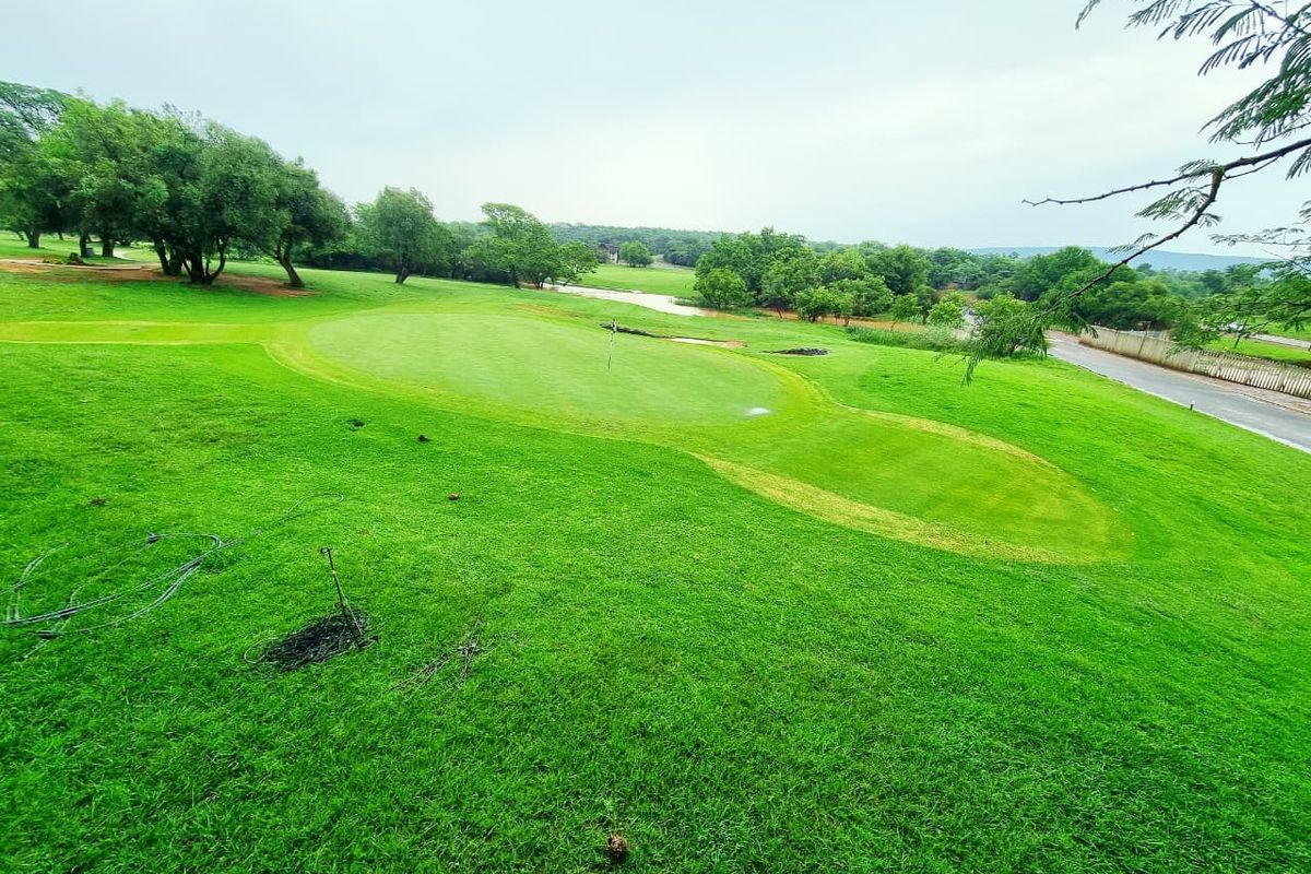 A scenic view of a well-maintained golf course green surrounded by lush green lawns and mature trees.